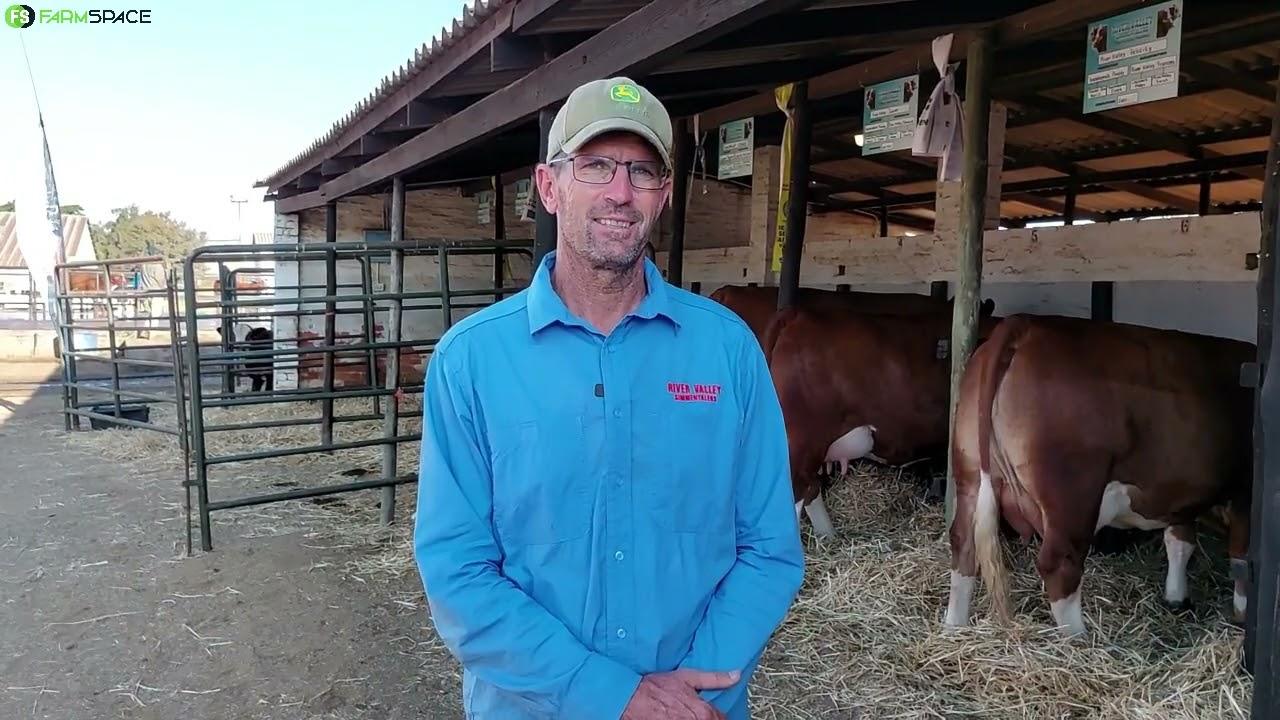 Ons praat met Peter Abrahamse van River Valley Simmentalers by Bloem Skou 2024