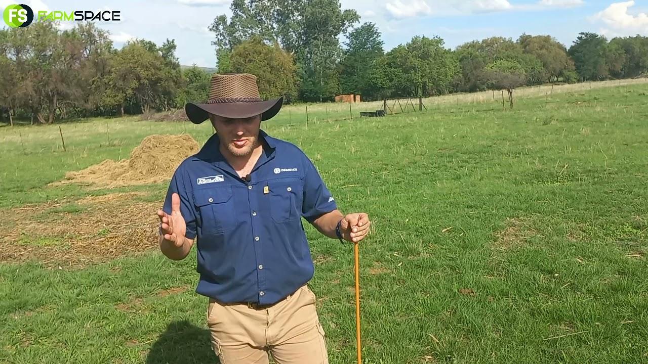 Strip Grazing Tour 2021 - What did we learn?