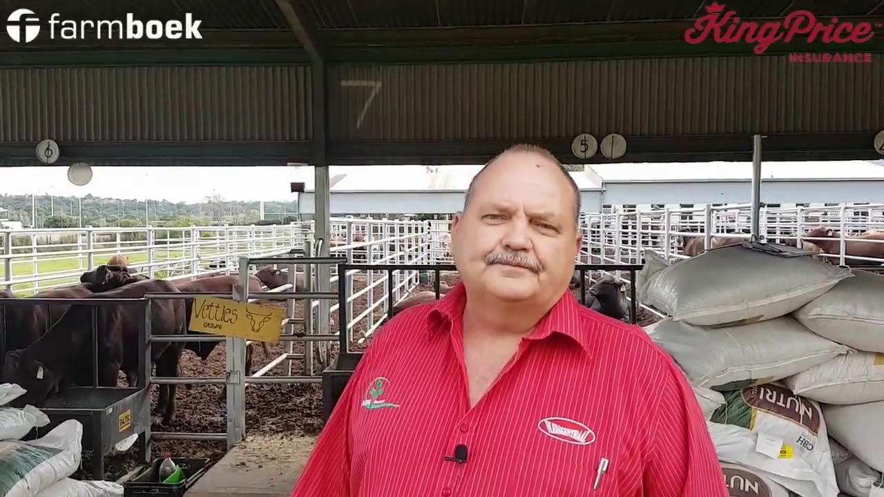 UP-Agric Feedlot Challenge 2020 - Agri Gauteng