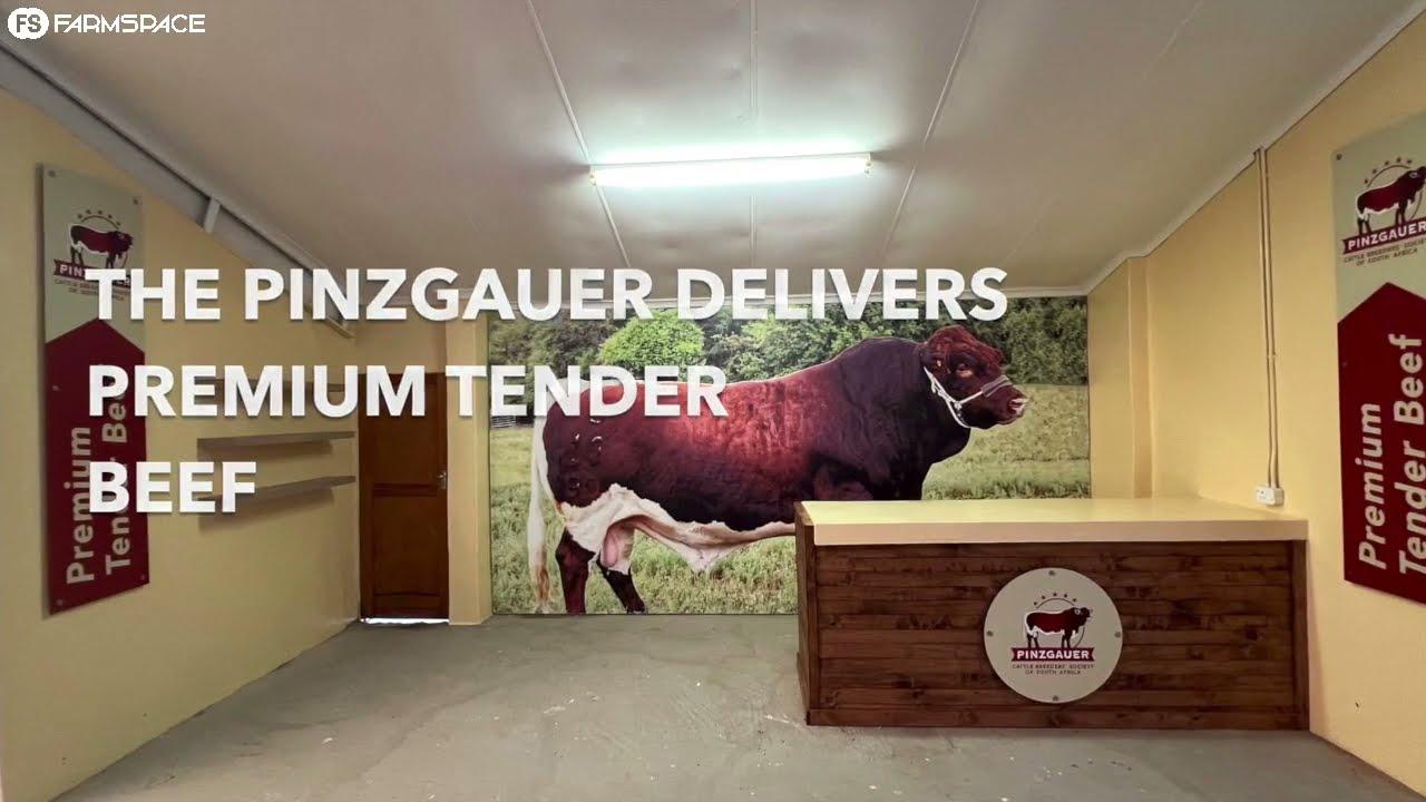 Gaan maak 'n draai by die Pinzgauer genootskap se stalletjie by Nampo 2024!