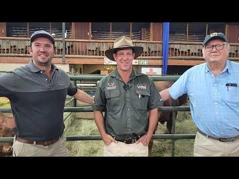 VOVA Genetics se R1.4 miljoen bul word bespreek by die Droughtmaster Nasionale Veiling 2023