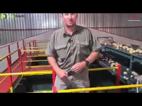 Hoe kom 'n aartappel van die land tot in die sak?