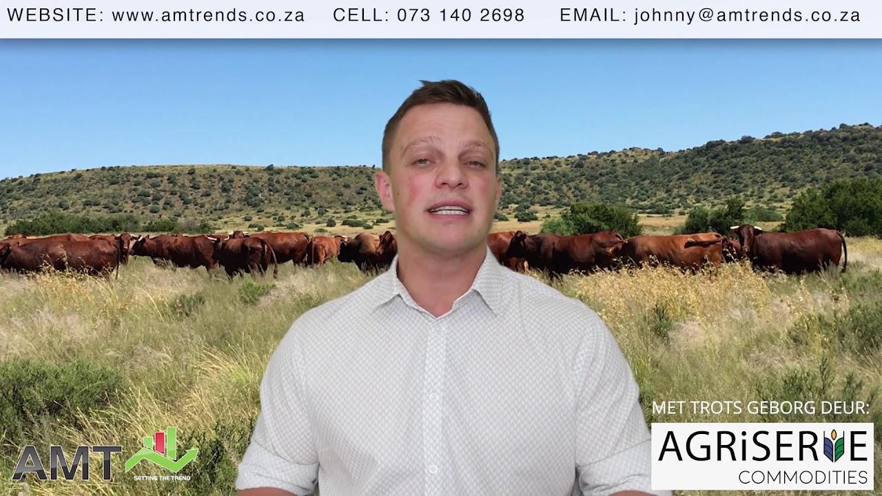 AM Trends - Grain and Livestock Overview - 30 Oct 2019