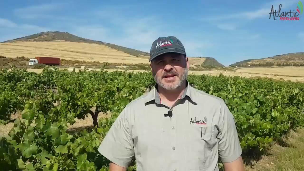 Atlantic Fertilizer Agri - Mooi loop oor die feestyd.