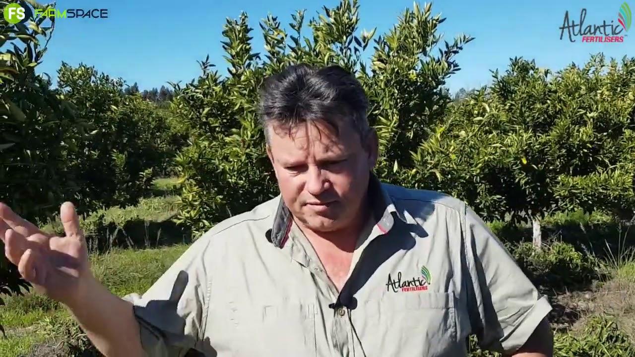 Atlantic Fertilisers Agri - Sitrus Bemesting