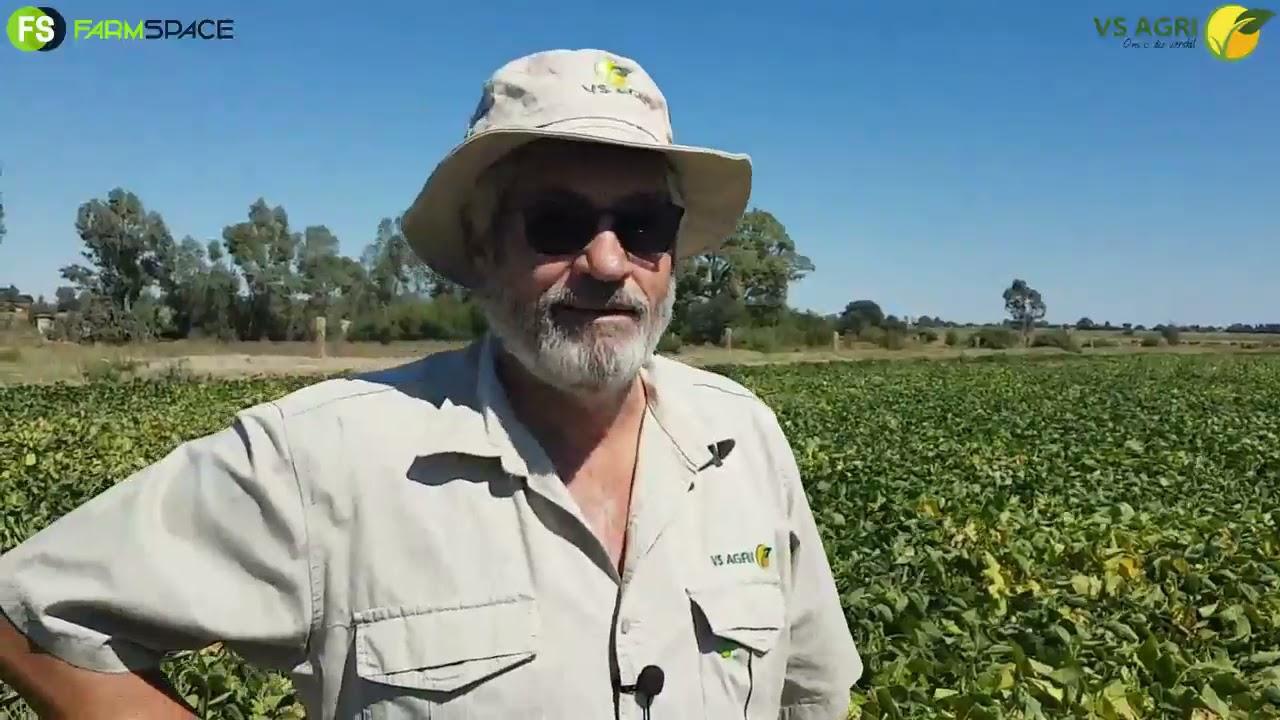 VS Agri - Semi-Organiese Kunsmis op Sojas
