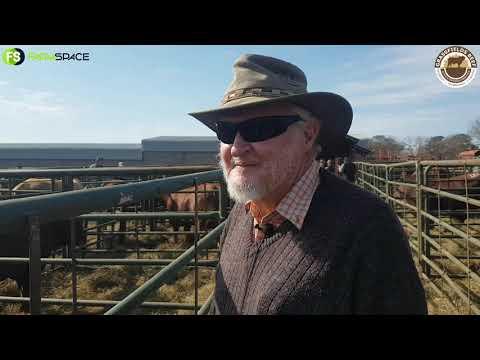 Kenny tell us why he keeps coming back to the Grassfields Beef African Droughtmasters Auction