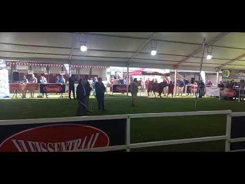 Die vleissentraal - Stamboek bulgroeitoetsklas 2022