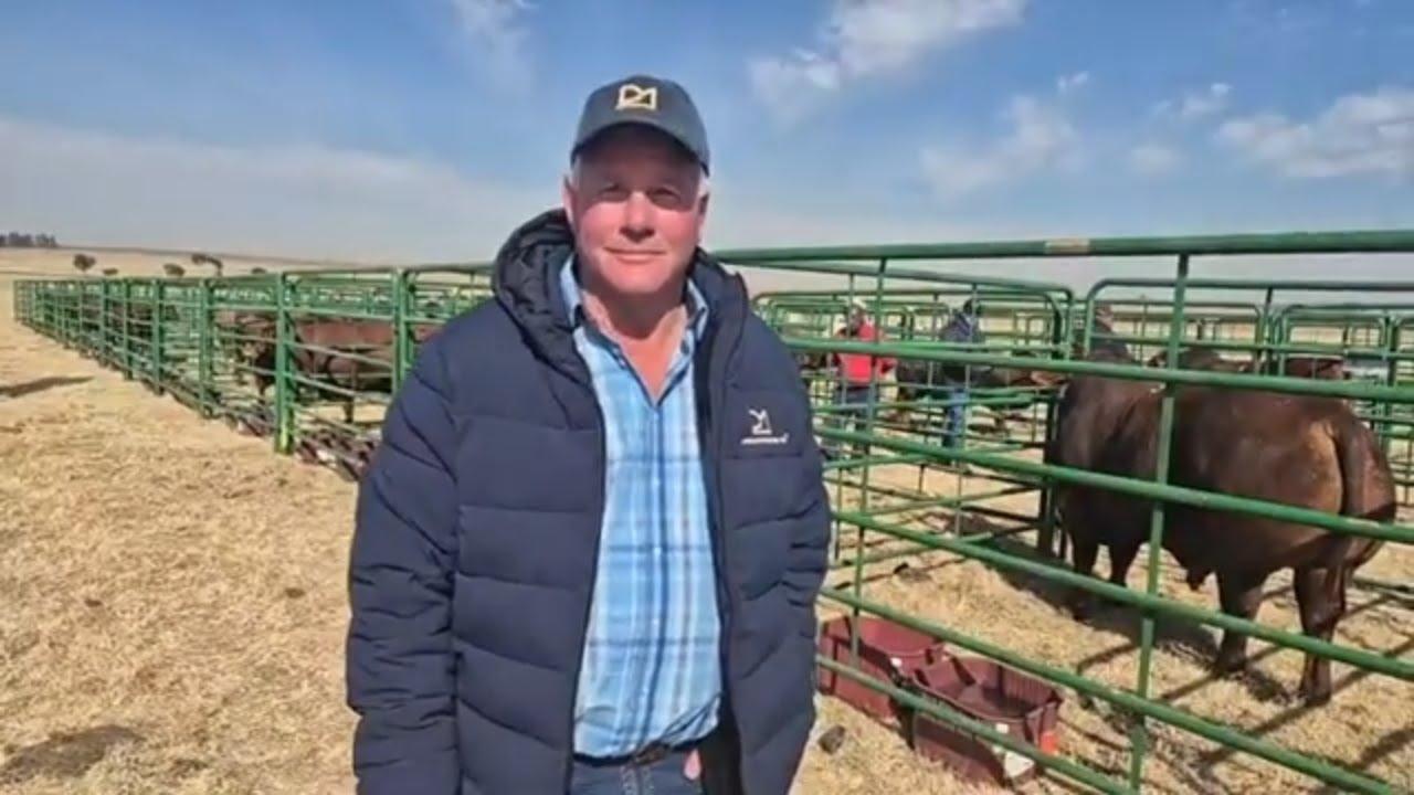 Marius Barkhuizen gesels oor die Rocky Droughtmasters aanbieding wat om 11:00 afskop vandag.