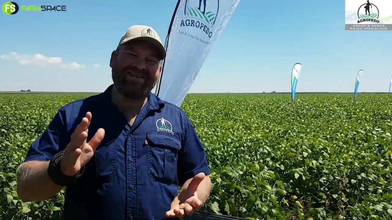 Modderbult Sojaboon Boeredag 2021 - Wie is Agropedo?