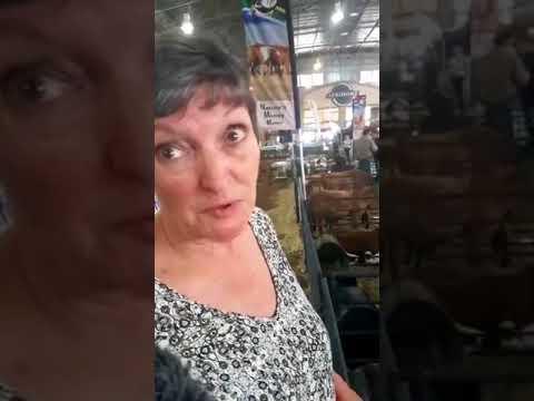 Wat is hier alles by Alfa Expo 2017? Melkskape ... Huh?! Sê ek mos ook!