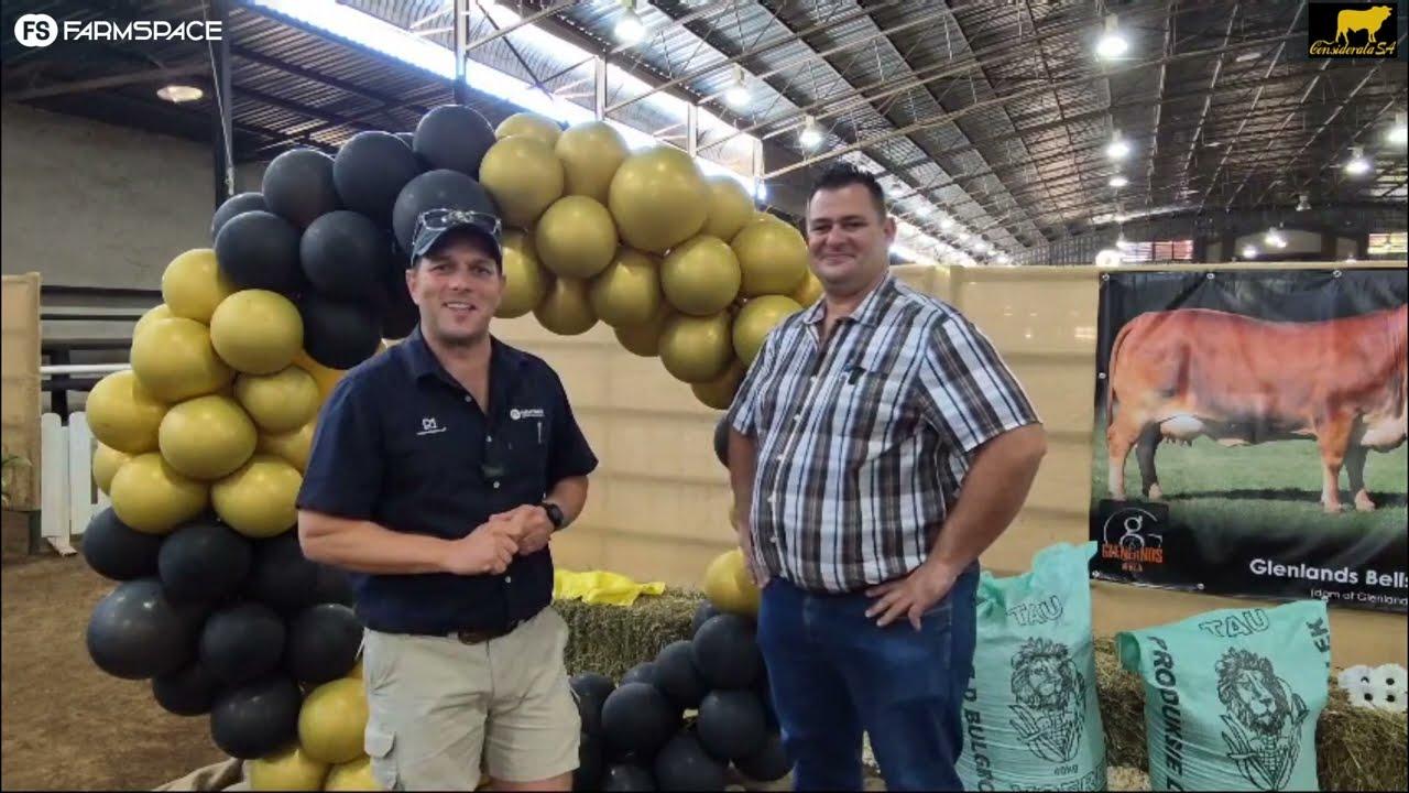 Ons gesels met Quintin van GQ Stud wat die duurste vroulike dier gekoop het by Considerata SA.