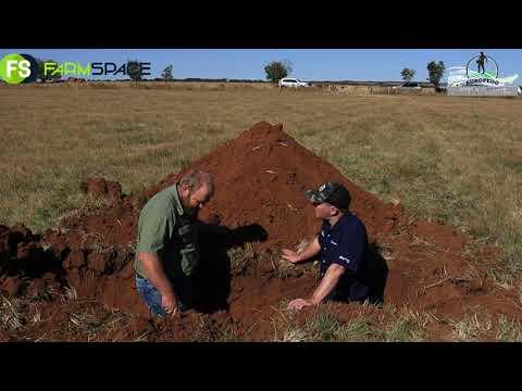 Martin from Agropedo does a grass and soil profile (Afrikaans)