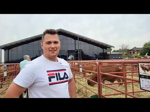 Brooks Borane at the Diamond Boran Auction 2023