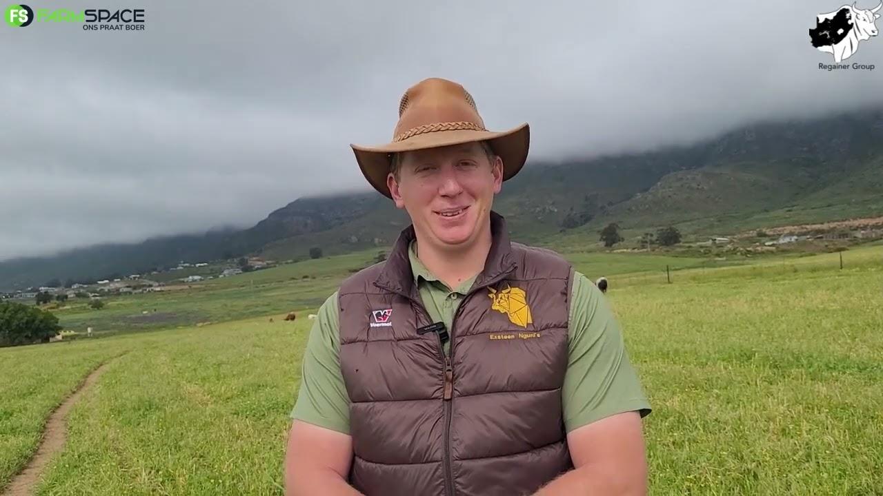 Ons gesels met Lochner Eksteen oor die Nguni Regainer Veiling en wat voorle vir die jaar se veiling.
