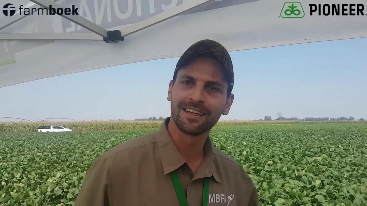 MBFI - Professional Treatment
