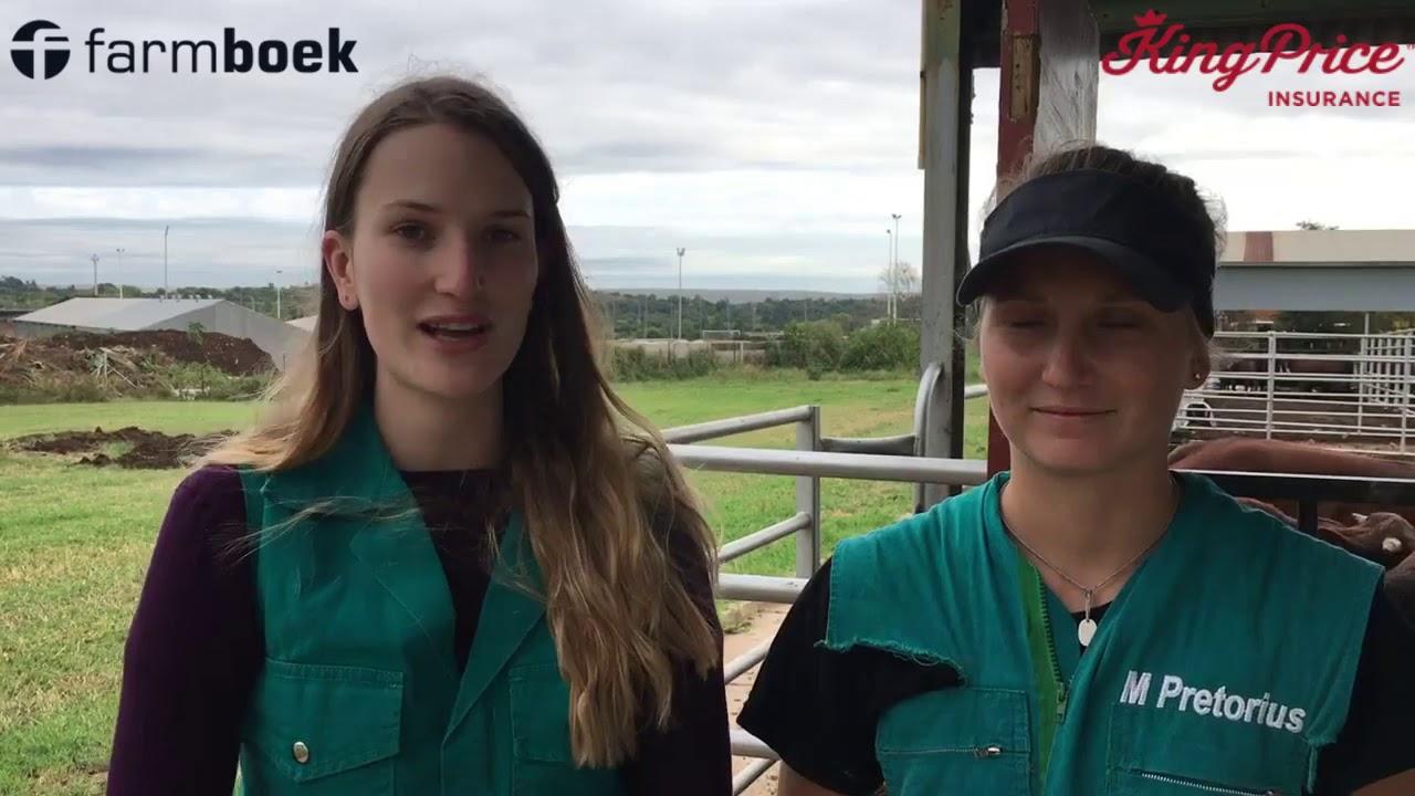 Connor and the Demeters - UP-Agric Feedlot Challenge 2020