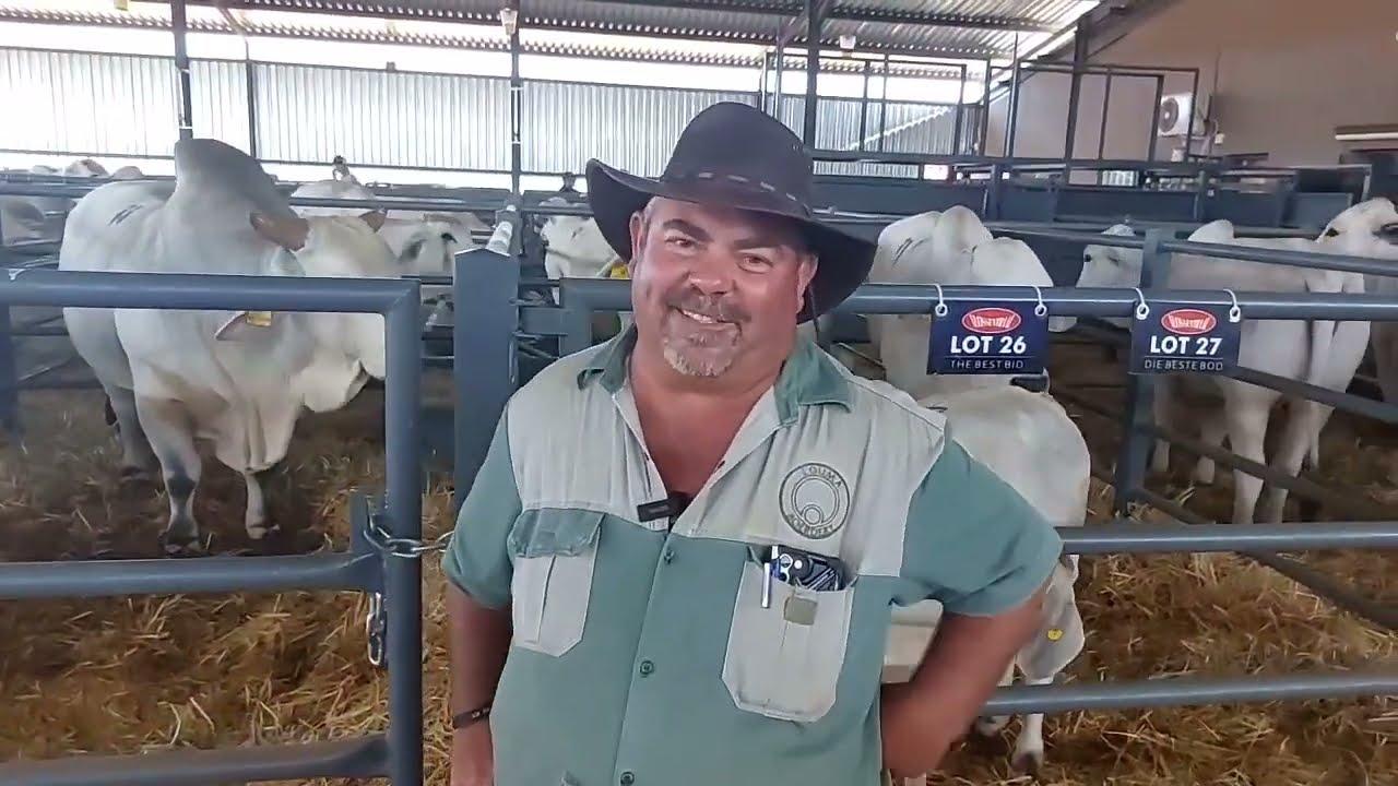 Louma Boerdery se kuddebestuurder gesels, Petrus Venter gesels met ons oor hulle diere.