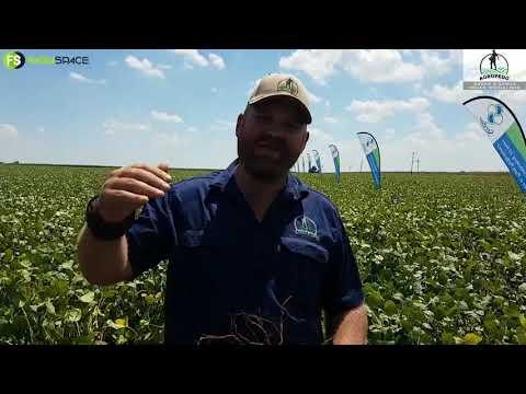 Modderbult Sojaboon Boeredag 2021 - Agropedo oor Soja Bemesting