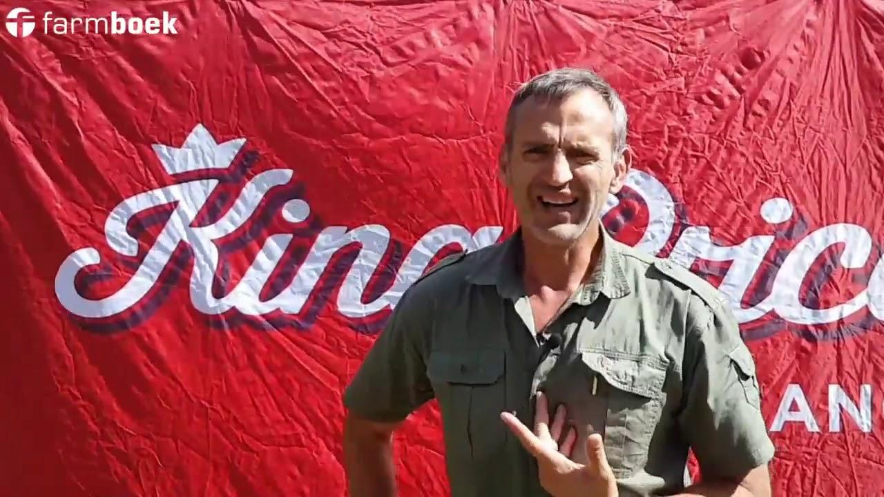 Hoekom by 'n BBV betrokke raak? King Price Agri