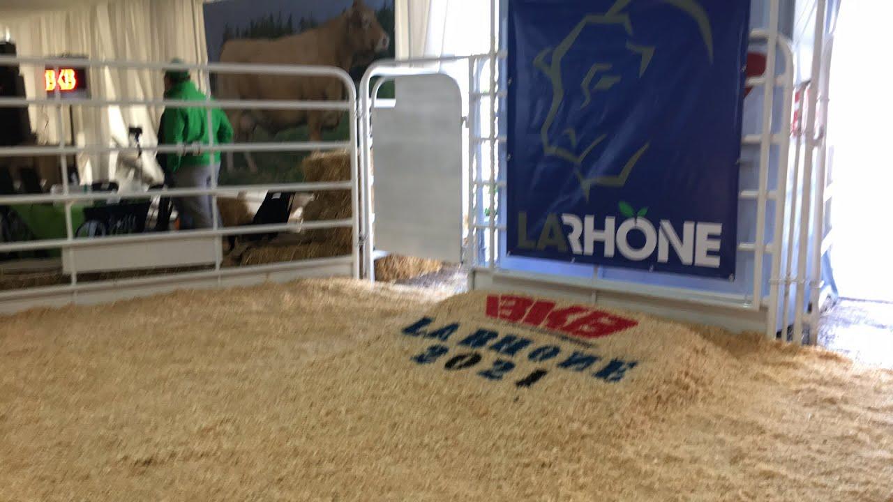 La Rhone Limousin Auction