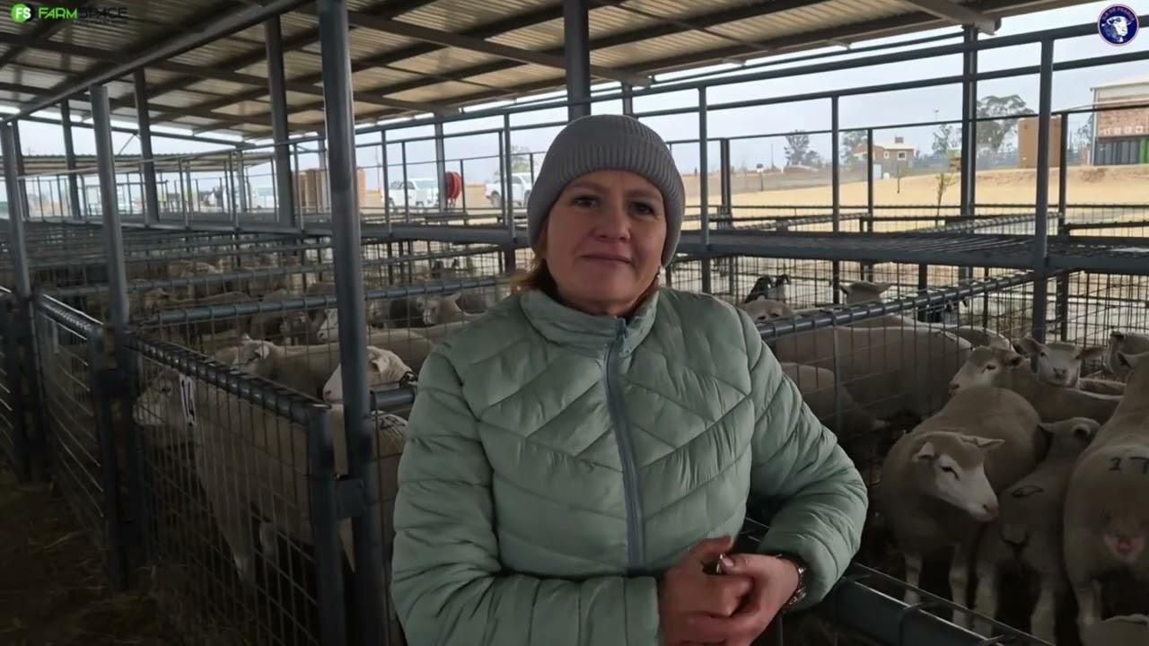 Hoekom soek jy ‘n Ile de France skaap op jou plaas?