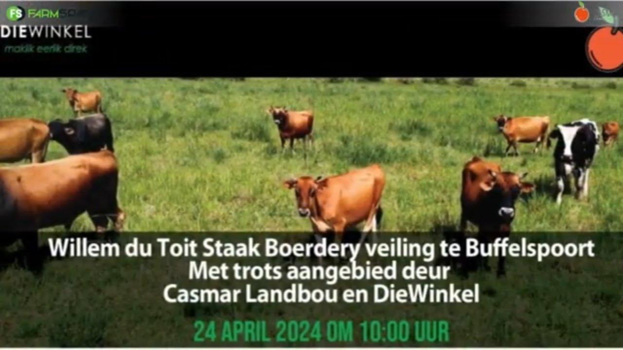 Willem du Toit Staak Boerdery veiling te Buffelspoort - 24 April 2024