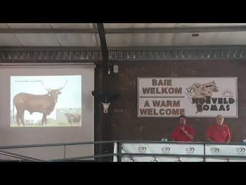 Our Presidents Auction in Ermelo.