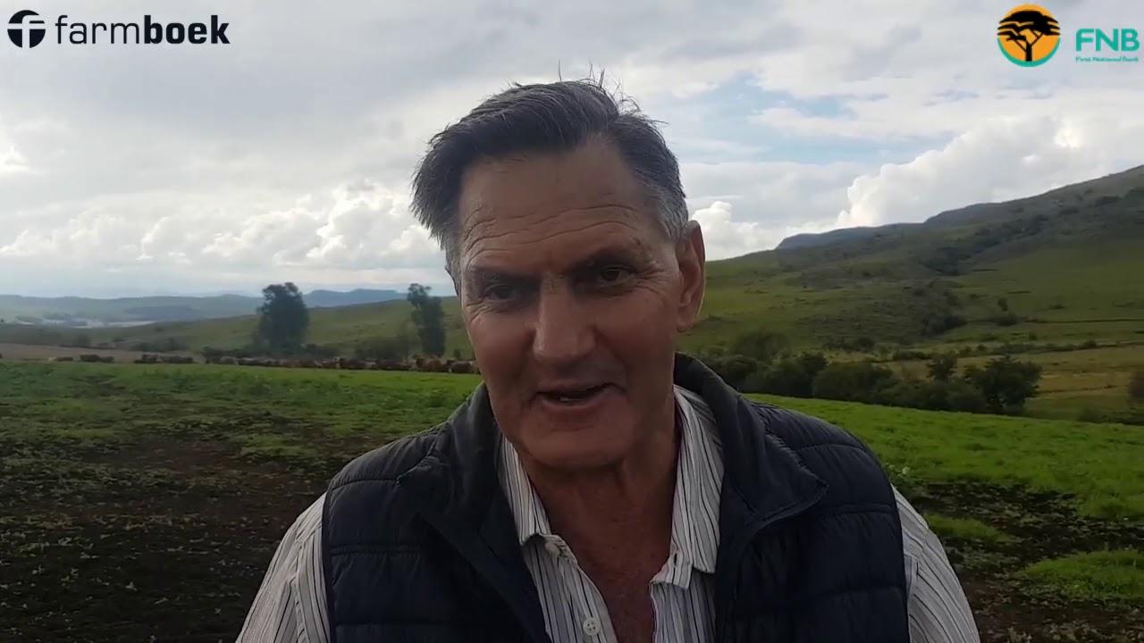 Cattle Farmer of the year 2019 - His father, Pat, has all the secrets