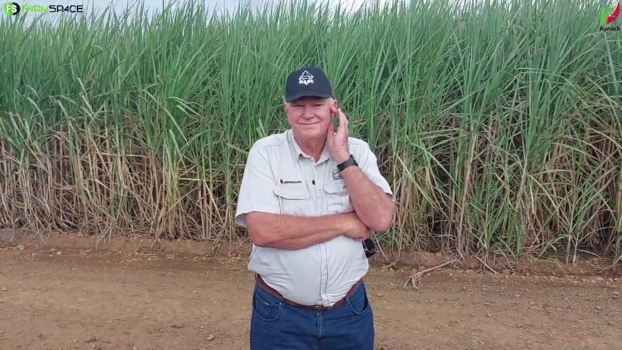 Wat het Dave van Kynoch Fertilizer te sê?