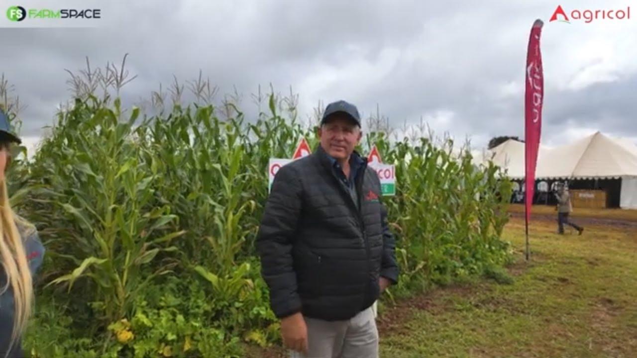 Kan jy cover crops tussen mielies plant en watter reels moet jy volg?