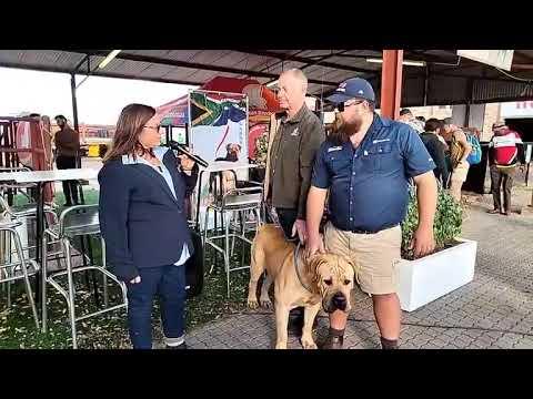 South African Boerboel Breeders Society is by Nampo 2023