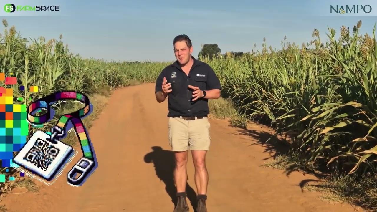 Is jy moeg om besigheidskaartjies op NAMPO bymekaar te maak?