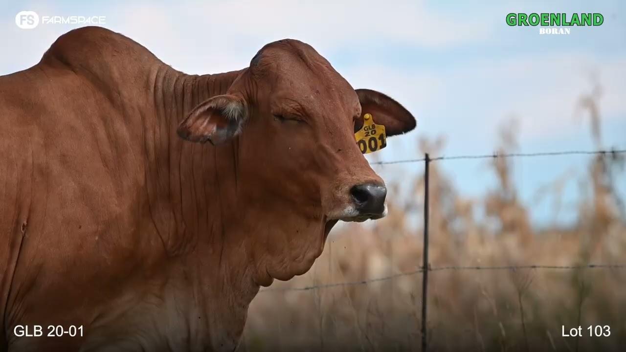 Lot 103 | GLB 20-001 | Groenland | Road to the Boran National Auction | 15 July 2023