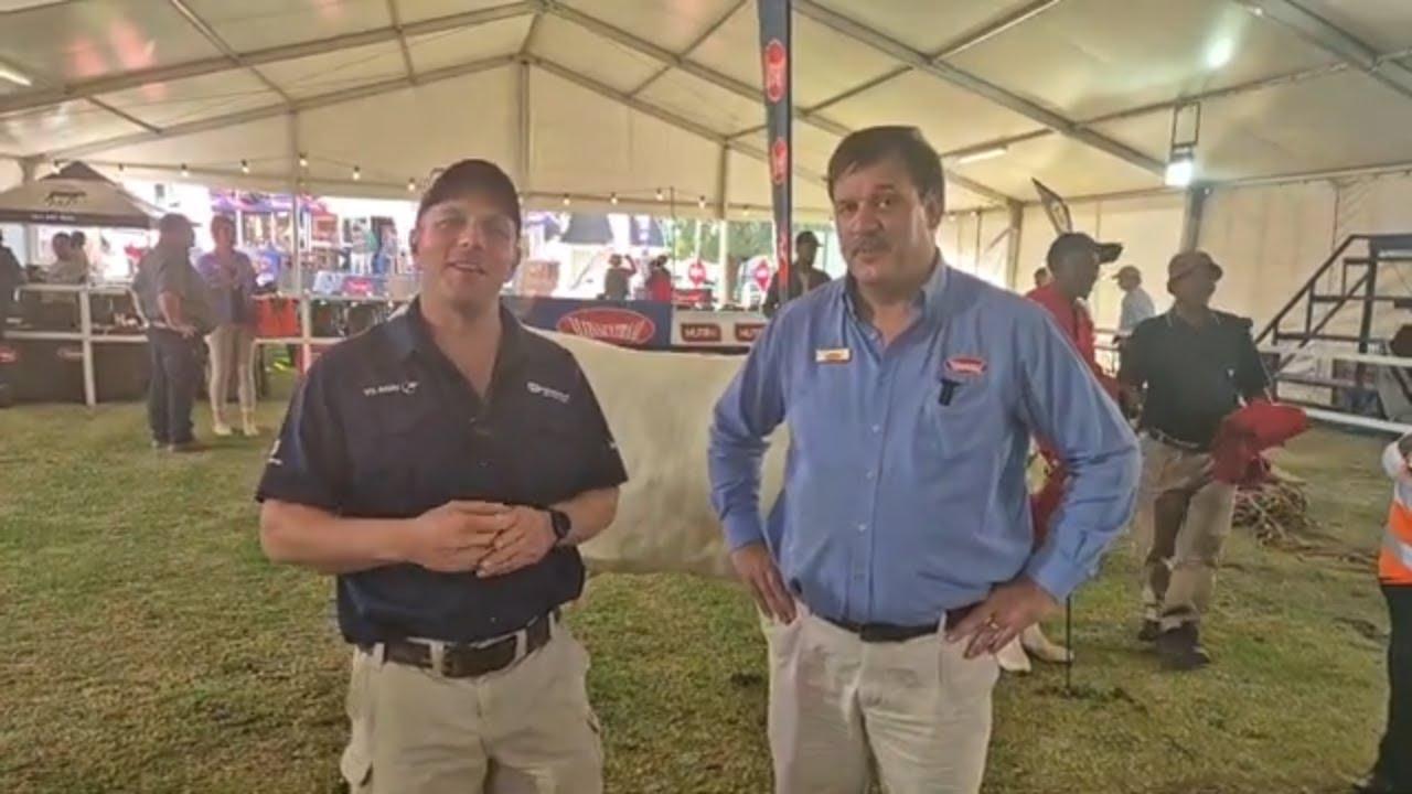 Ons praat met Anton Vos van Vleissentraal oor die Bulgroeitoetsklas Kompetisie by Bloem Show 2024.