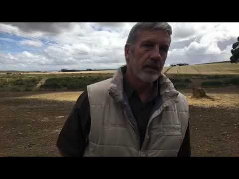 Ram and ewe preparation for breeding season - Nampo Cape 2019