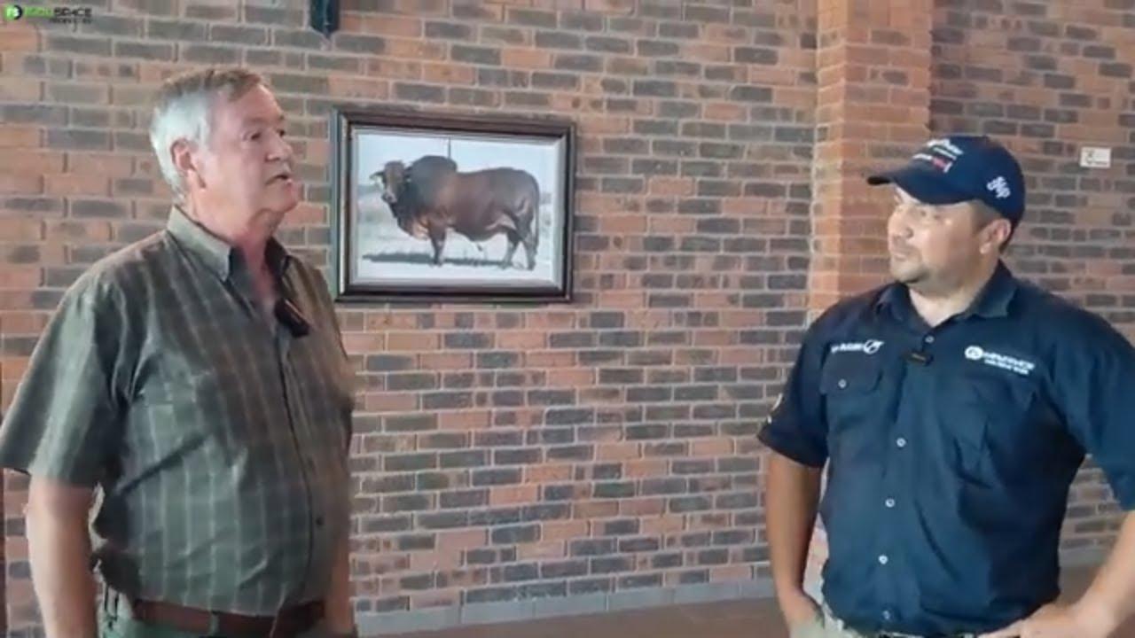 1975 Hektaar Vrystaatste beesplaas in die mark in Verkeerdevlei.