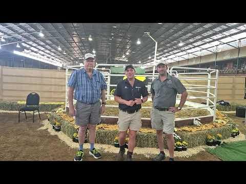 Ro'an van Soetvelde Droughtmasters gesels oor lot 6 wat hulle sopas aangeskaf het vir hulle kudde