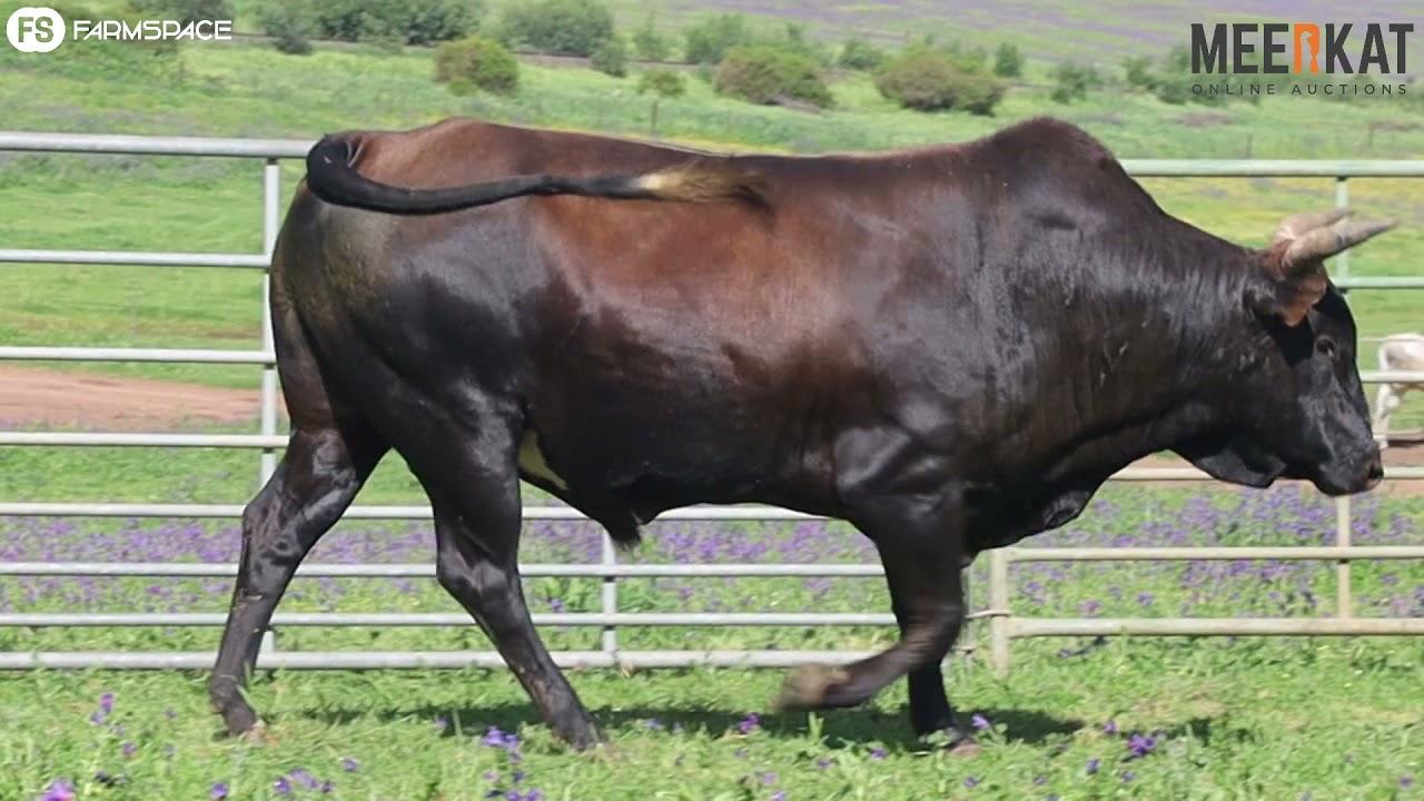Regainer Group Auction - CS 16 8 Lot 13