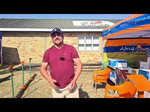Afriq Water by Nampo Alfa 2022.