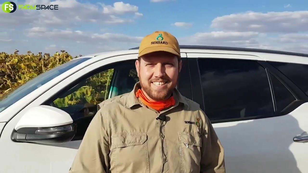 Pieter Craven - Wheat Cultivars 2020