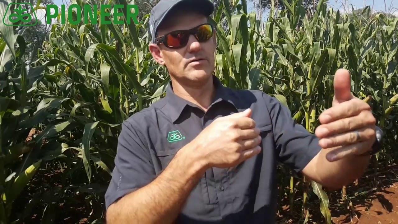 DuPont Pioneer Ogies Proewe 2018. Al ooit gewonder oor grond tipe?