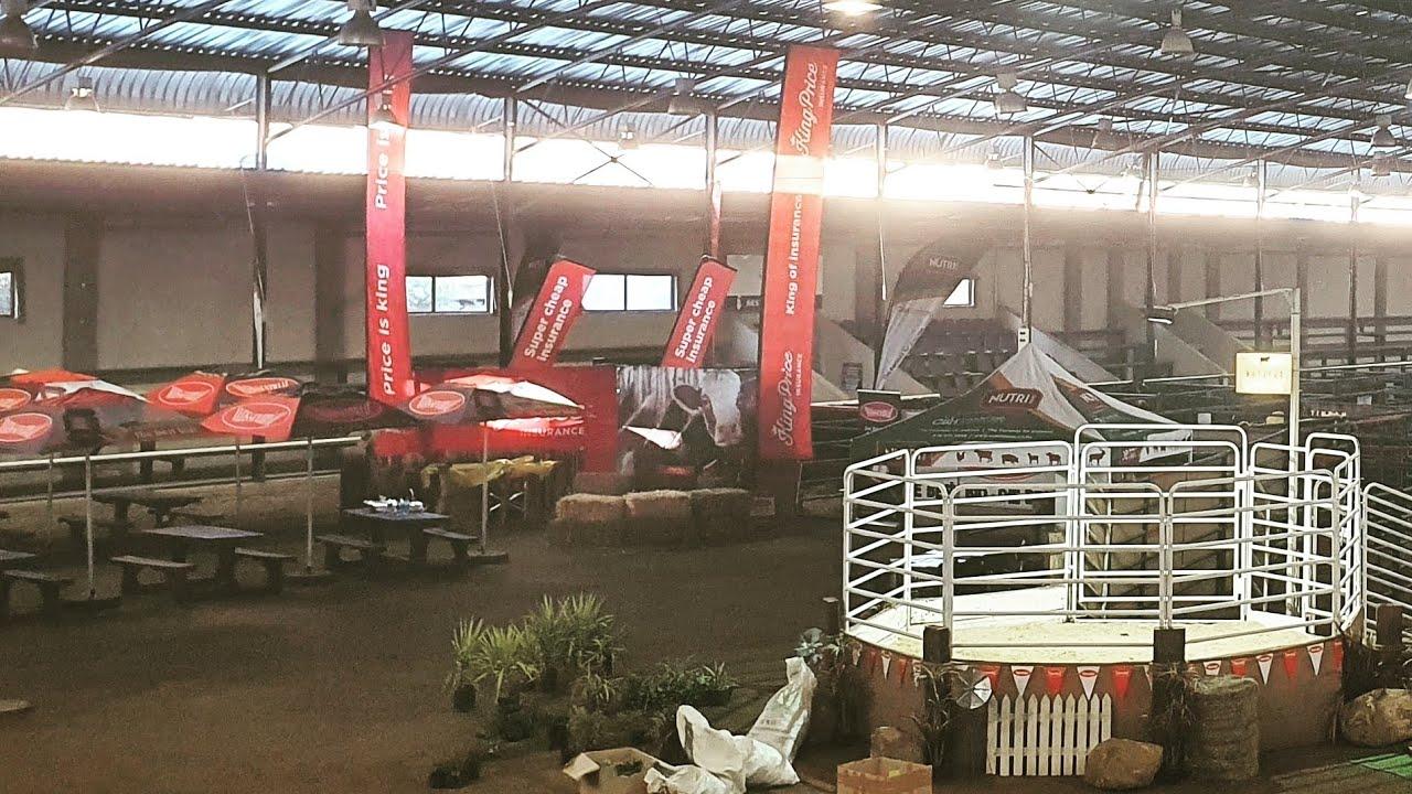 Boran National Auction 2020, Boran Bull Sold for R1,7 Million