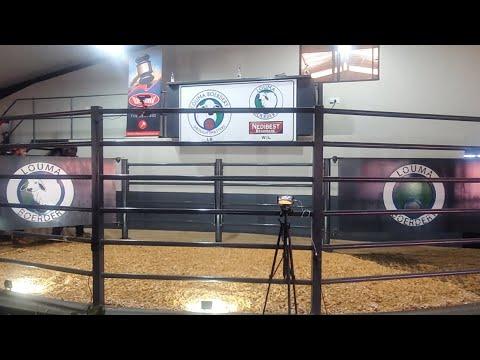 Regstreeks by Louma Boerdery | Nedibest Brahmane se eerste Produksie Veiling