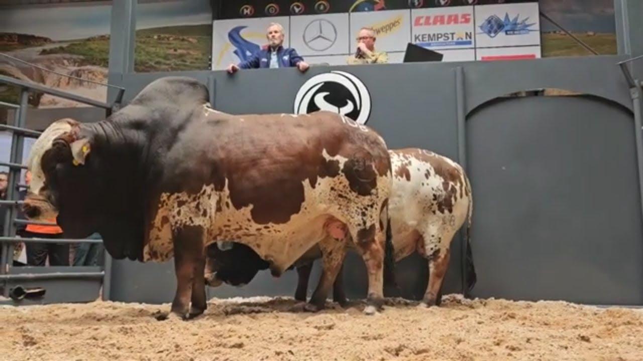 Lot 10B - Verkoop vir R3.5 miljoen