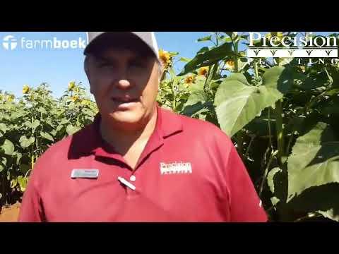 Singulation - Precision Planting