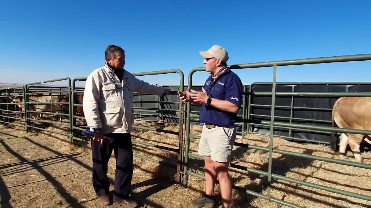 Thinus and Christo chat about the Hurwitz Production Auction 2020