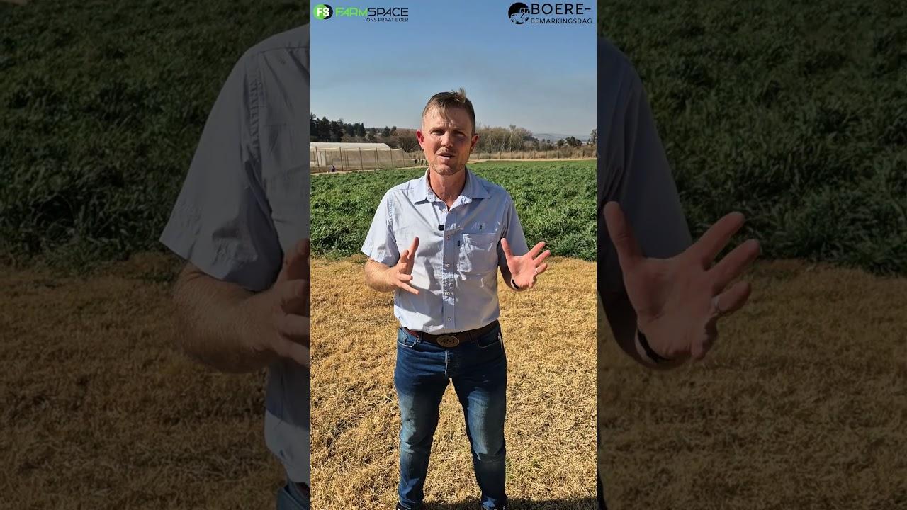 Boer jy met aartappels? CT vertel hoekom jy by Vivo Boerebemarkingsdag moet draai.