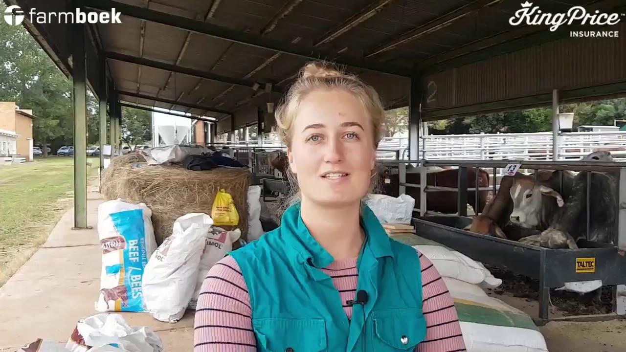 UP-Agric Feedlot Challenge 2020 - Candice (Nyalas)