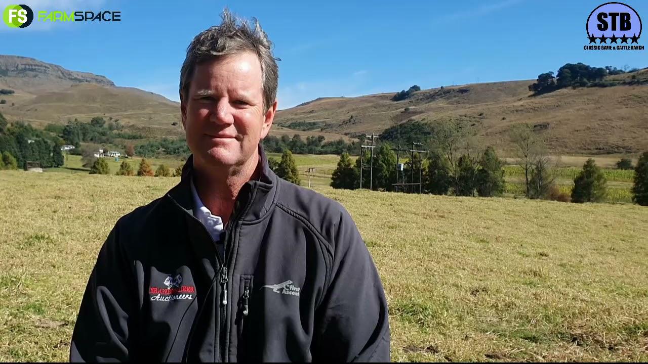 Brandon gesels oor die Stey Braes Stud se 24ste produkse Veiling se "Line-Up". Wat kan jy verwag?